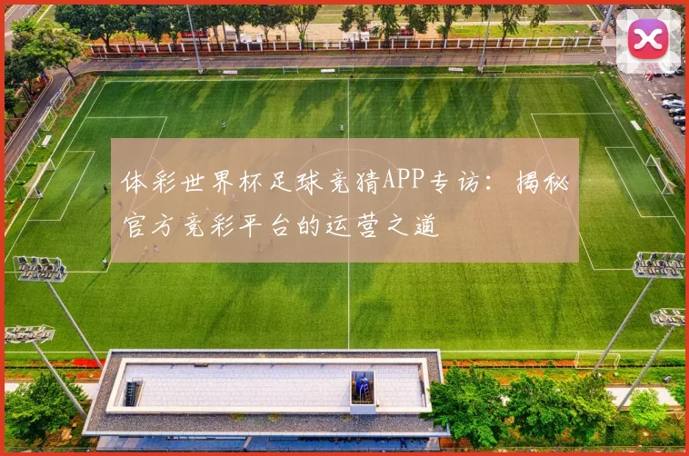 体彩世界杯足球竞猜APP专访:揭秘官方竞彩平台的运营之道