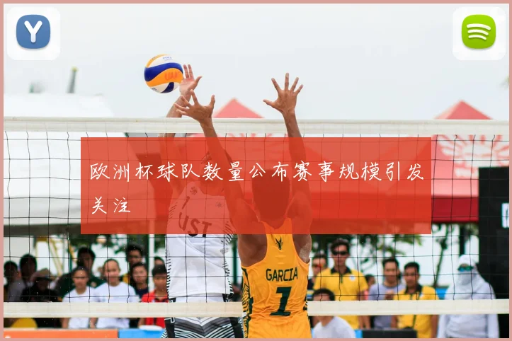 欧洲杯球队数量公布赛事规模引发关注