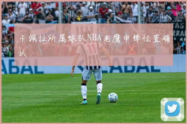 卡佩拉所属球队NBA老鹰中锋位置确认