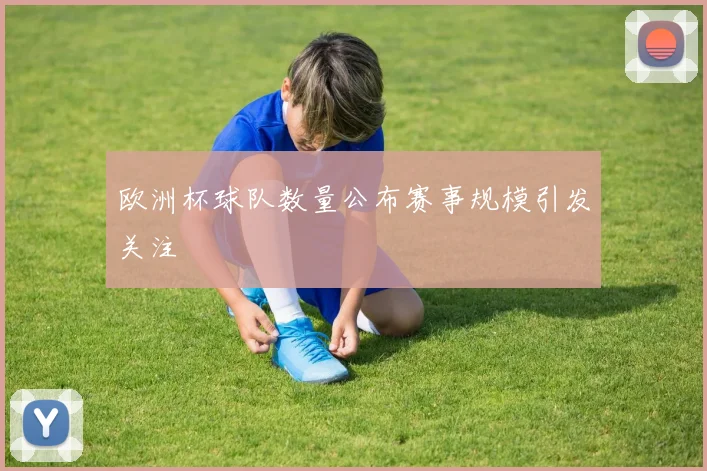 欧洲杯球队数量公布赛事规模引发关注