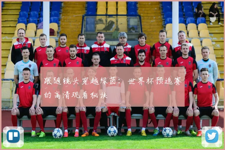 跟随镜头穿越绿茵:世界杯预选赛的高清观看秘诀
