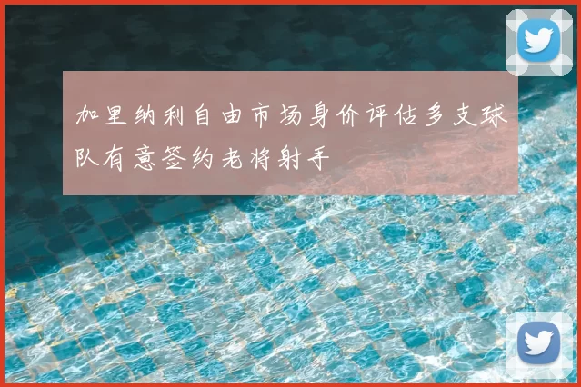 加里纳利自由市场身价评估多支球队有意签约老将射手