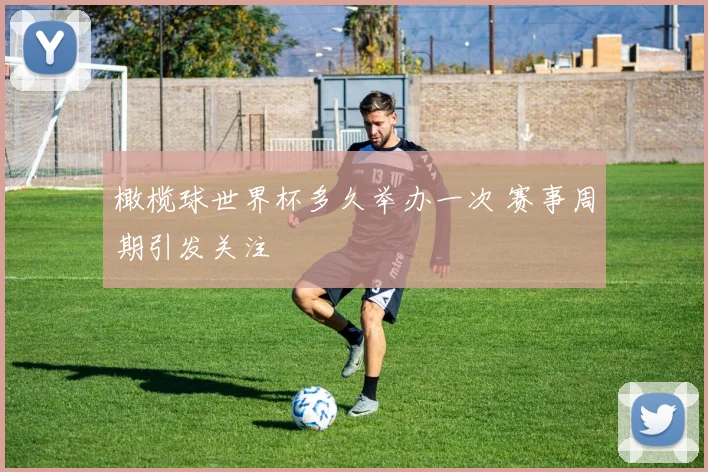 橄榄球世界杯多久举办一次 赛事周期引发关注