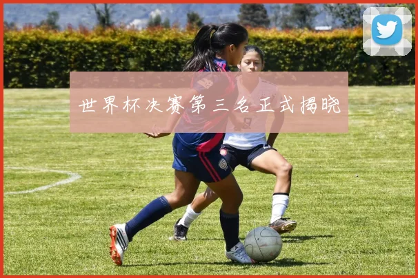 世界杯决赛第三名正式揭晓