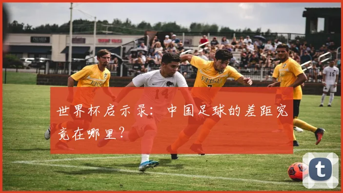 世界杯启示录:中国足球的差距究竟在哪里?