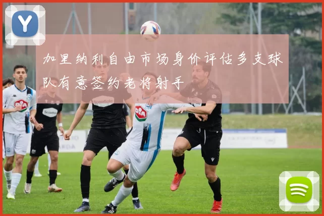 加里纳利自由市场身价评估多支球队有意签约老将射手