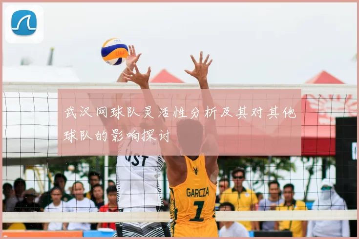 武汉网球队灵活性分析及其对其他球队的影响探讨